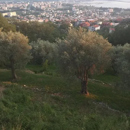 Apartman 